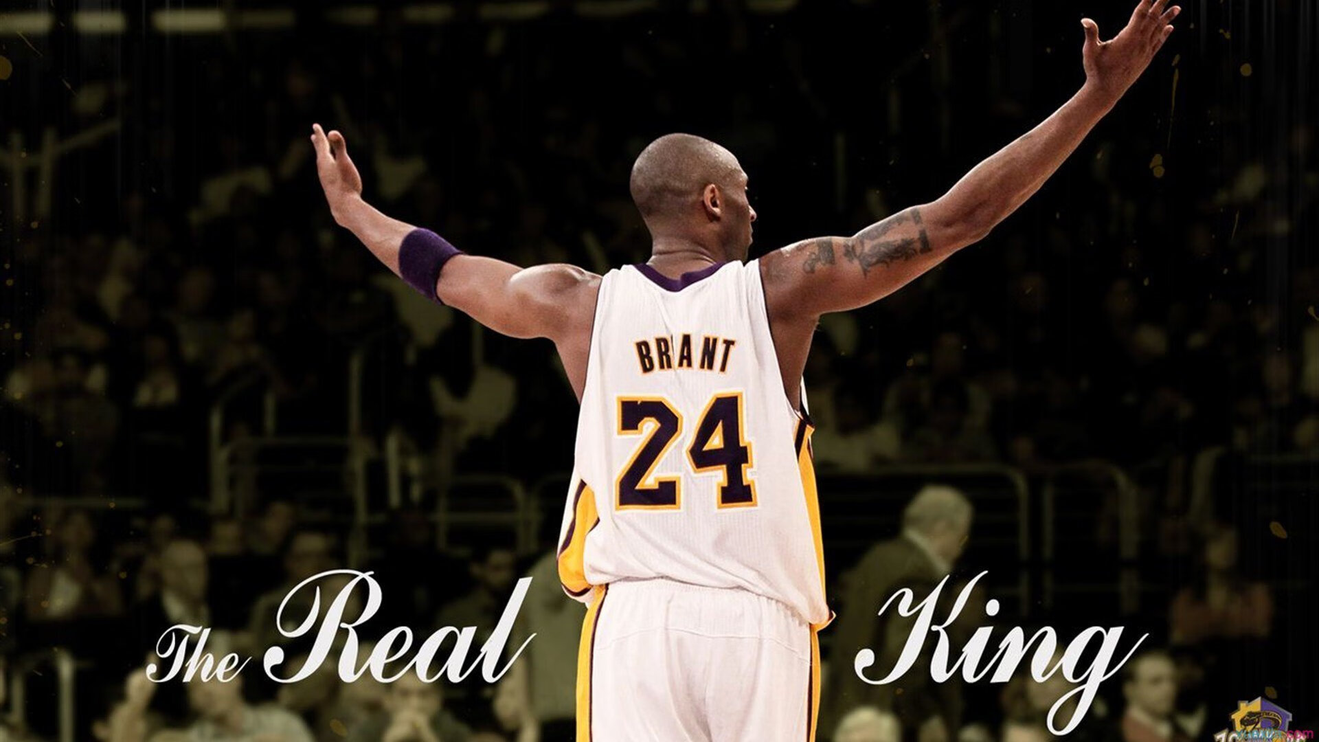 九游娱乐平台-NBA球队粉丝增长策略，nba球队粉丝数